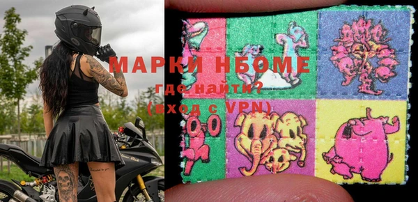 стафф Алексин