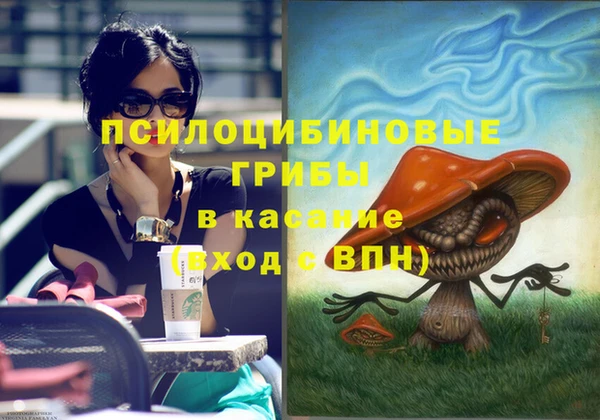 каннабис Аркадак