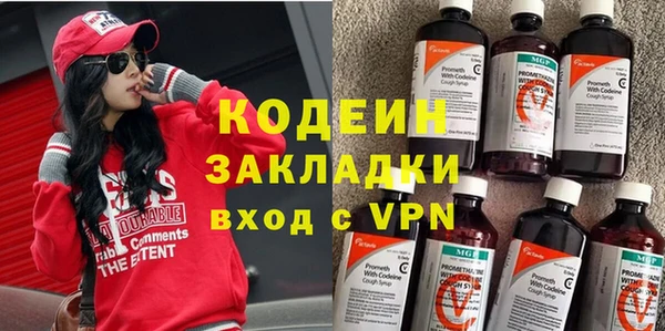 дурь Сатка