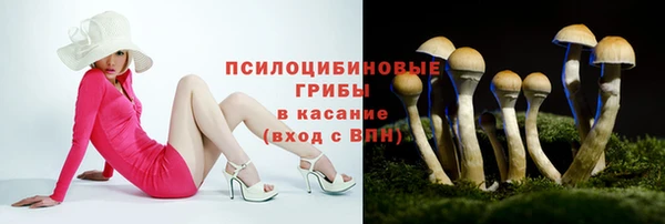 круглые Абаза