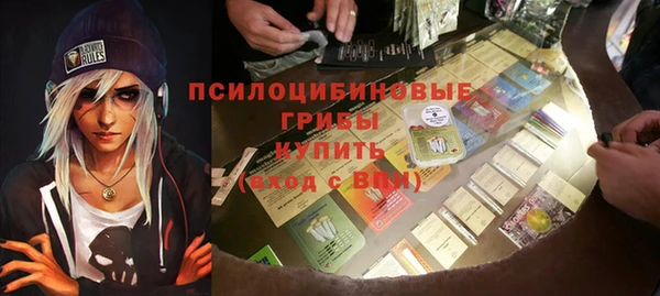 PSILOCYBIN Армянск