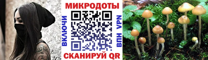 Псилоцибиновые грибы ЛСД  Троицк 
