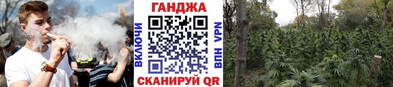 где купить наркоту  Троицк  Канабис индика 